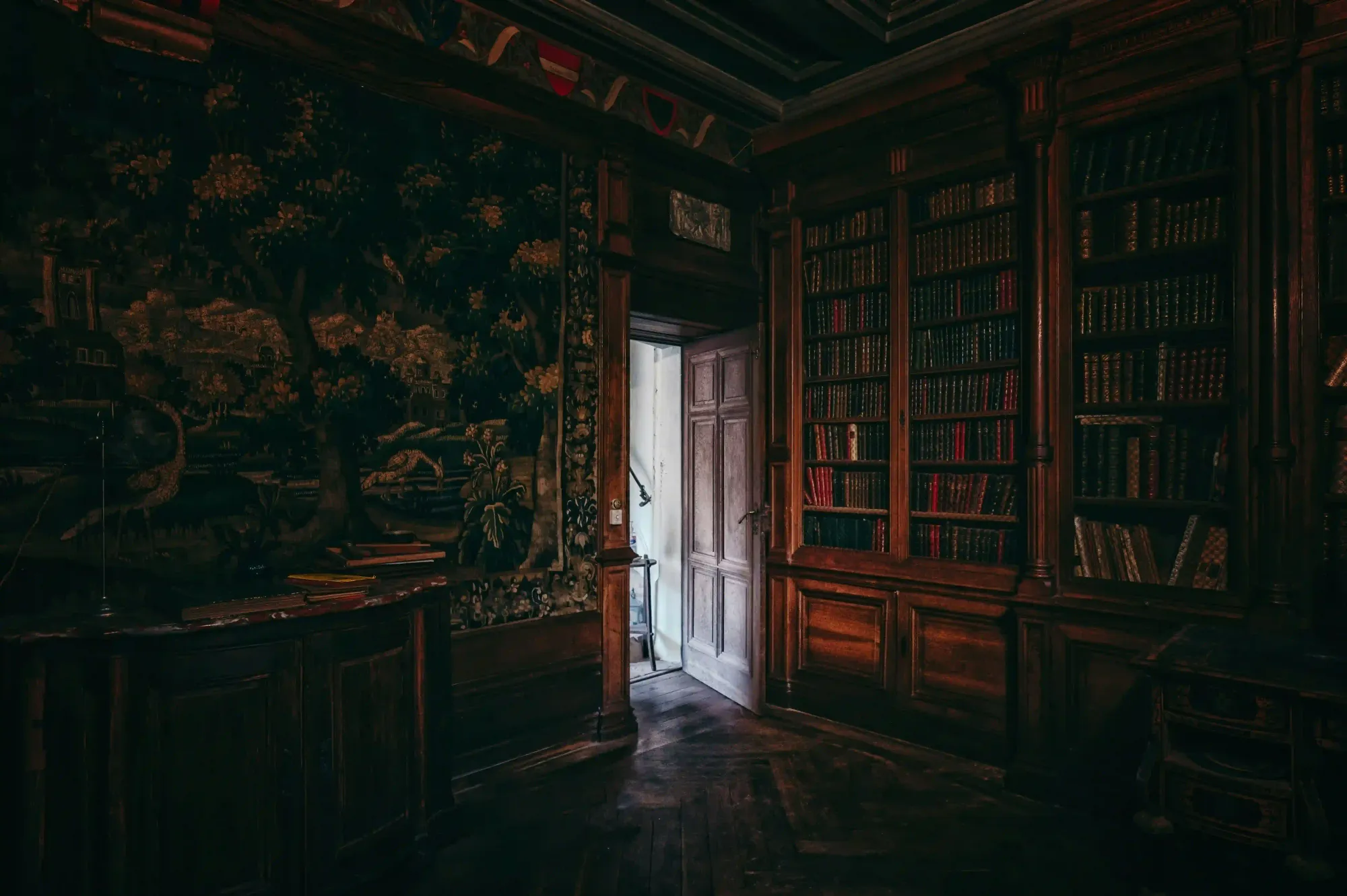 Dark and moody interior of an old historic library with wooden bookshelves, representing tangible memory and the right to linger.