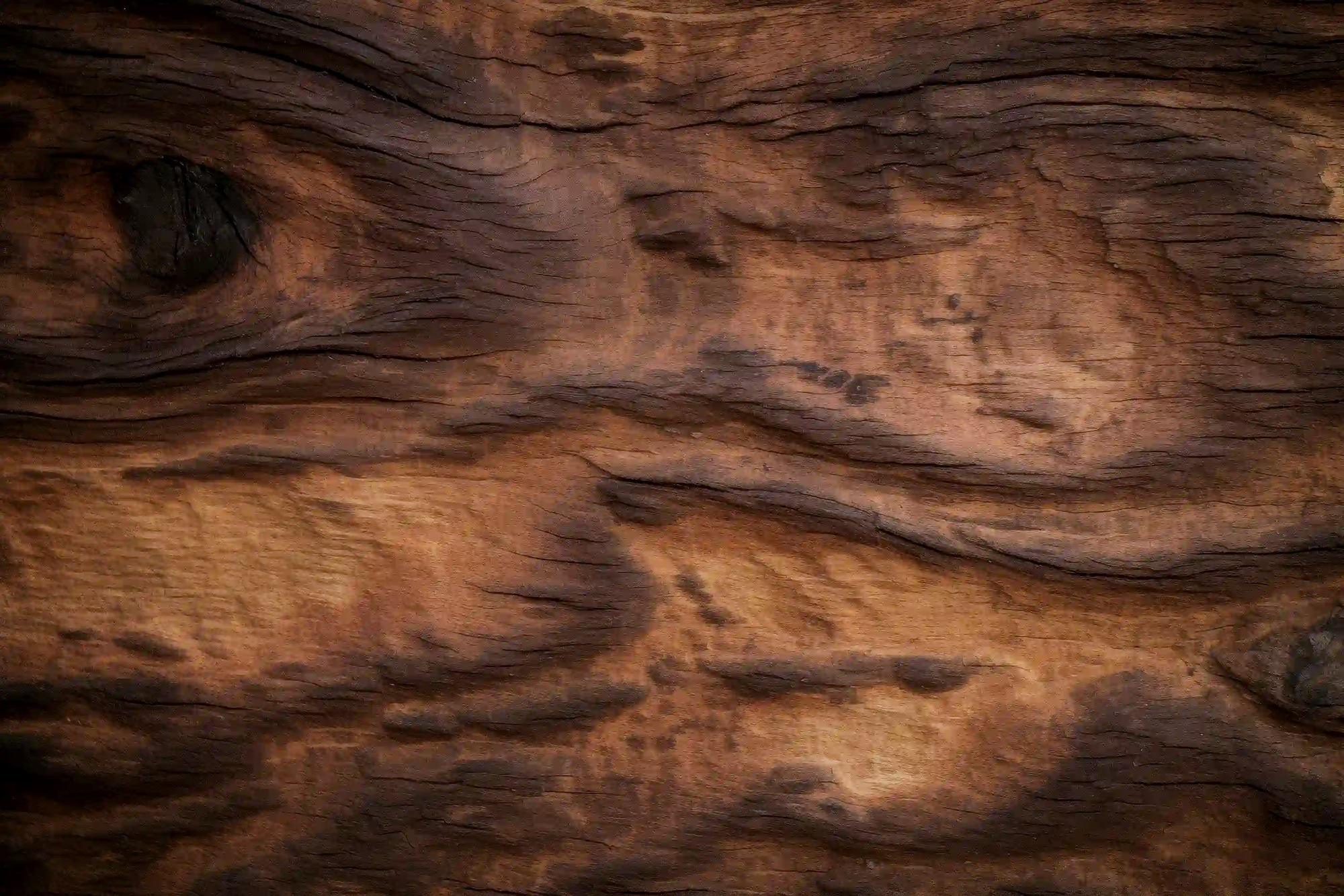 A close-up macro shot of weathered, deeply grooved wood texture, resembling aged human skin or a complex biological network.