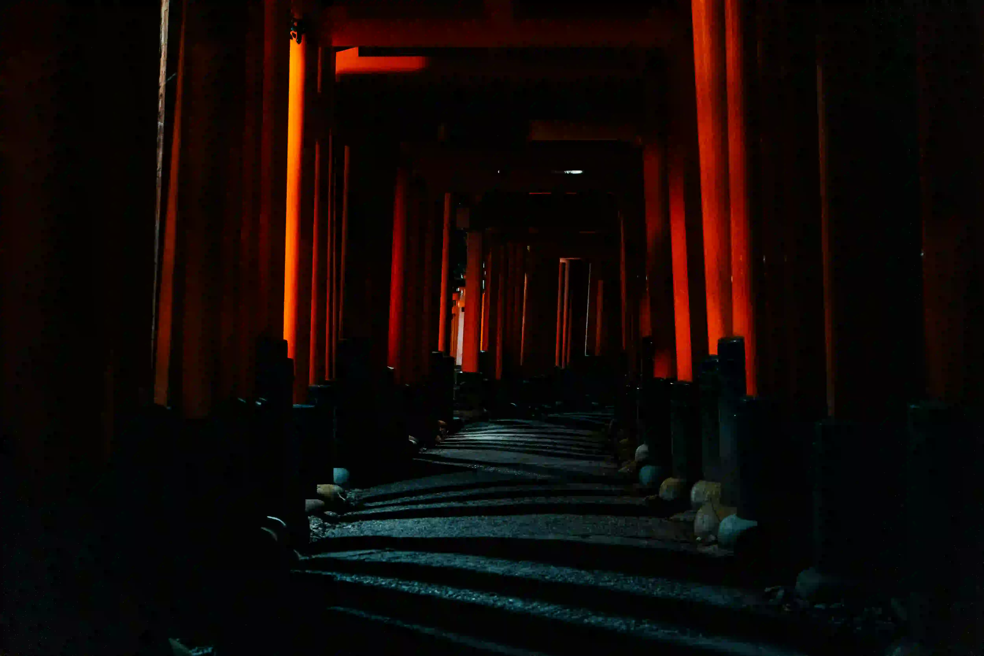 A moody, low-exposure photograph of a stone path winding through traditional Japanese torii gates, heavily cloaked in deep shadows and isolation.