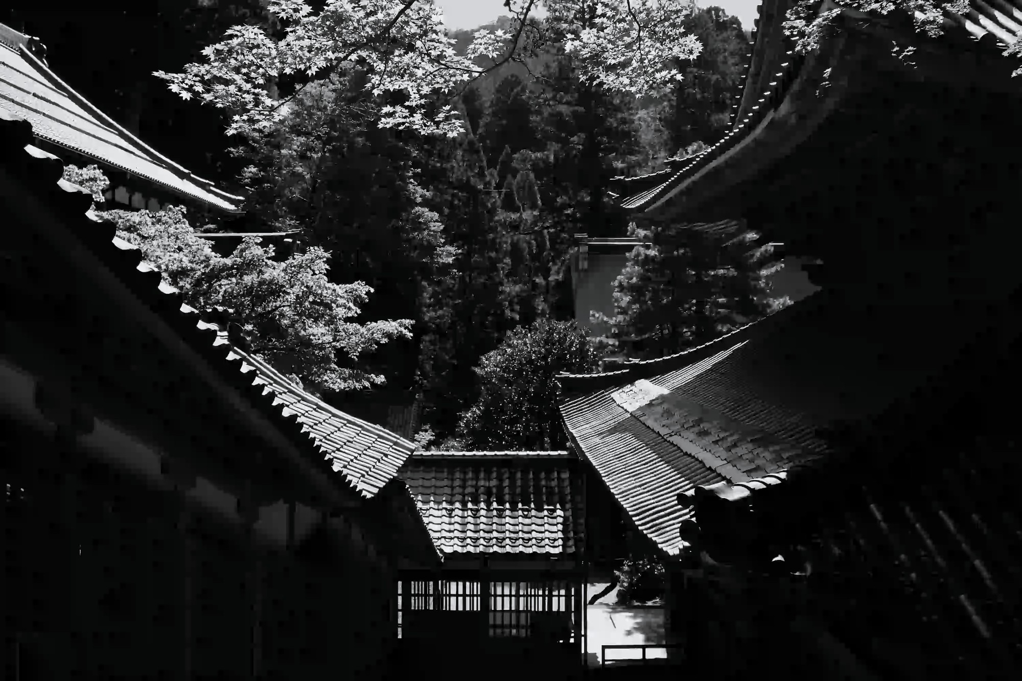 Black and white photograph showing the heavy, overlapping tiled roofs of a traditional Japanese temple complex against a dark, forested background.