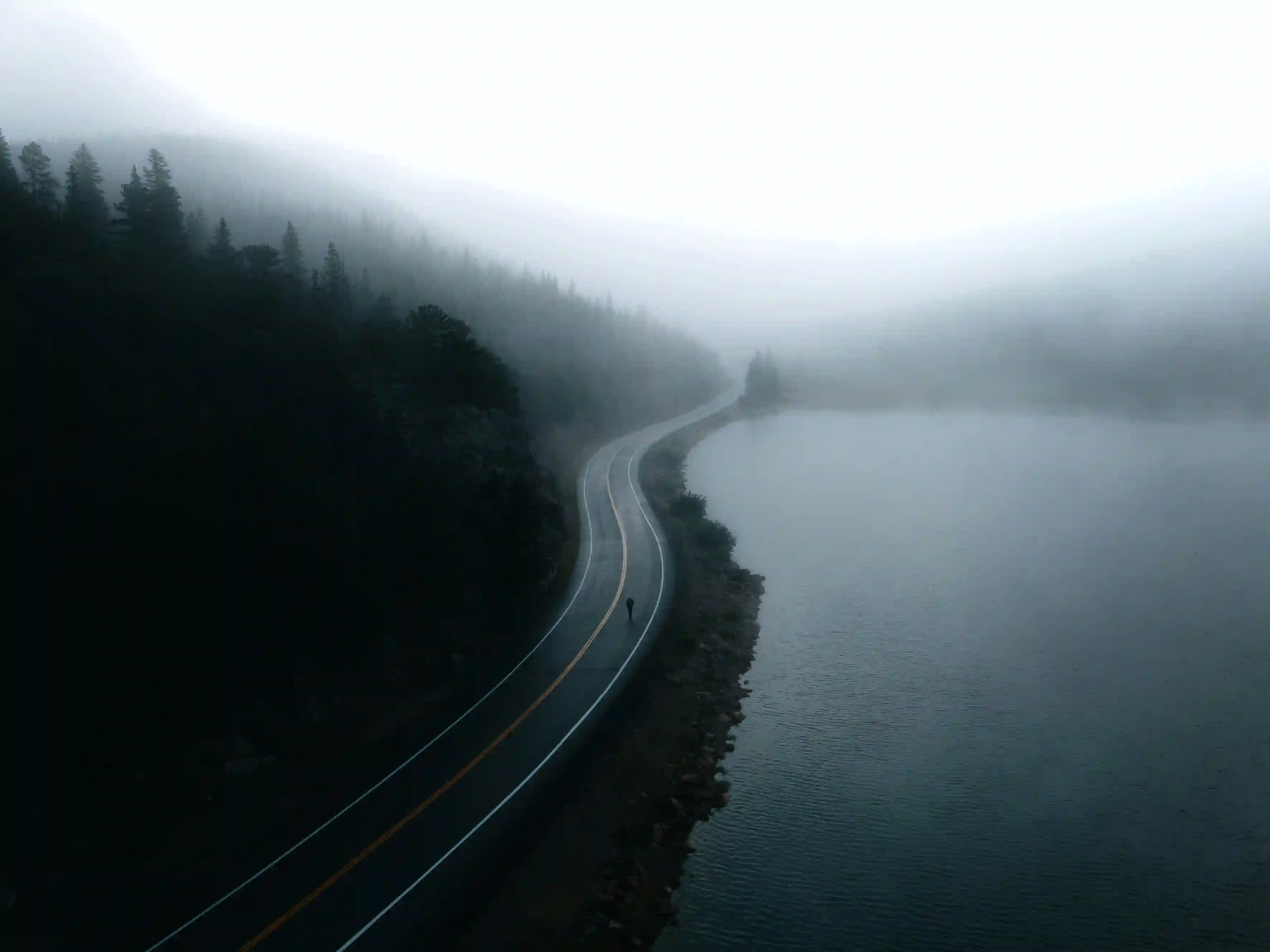 An aerial view of an asphalt highway slicing between a dark pine forest and a foggy body of water