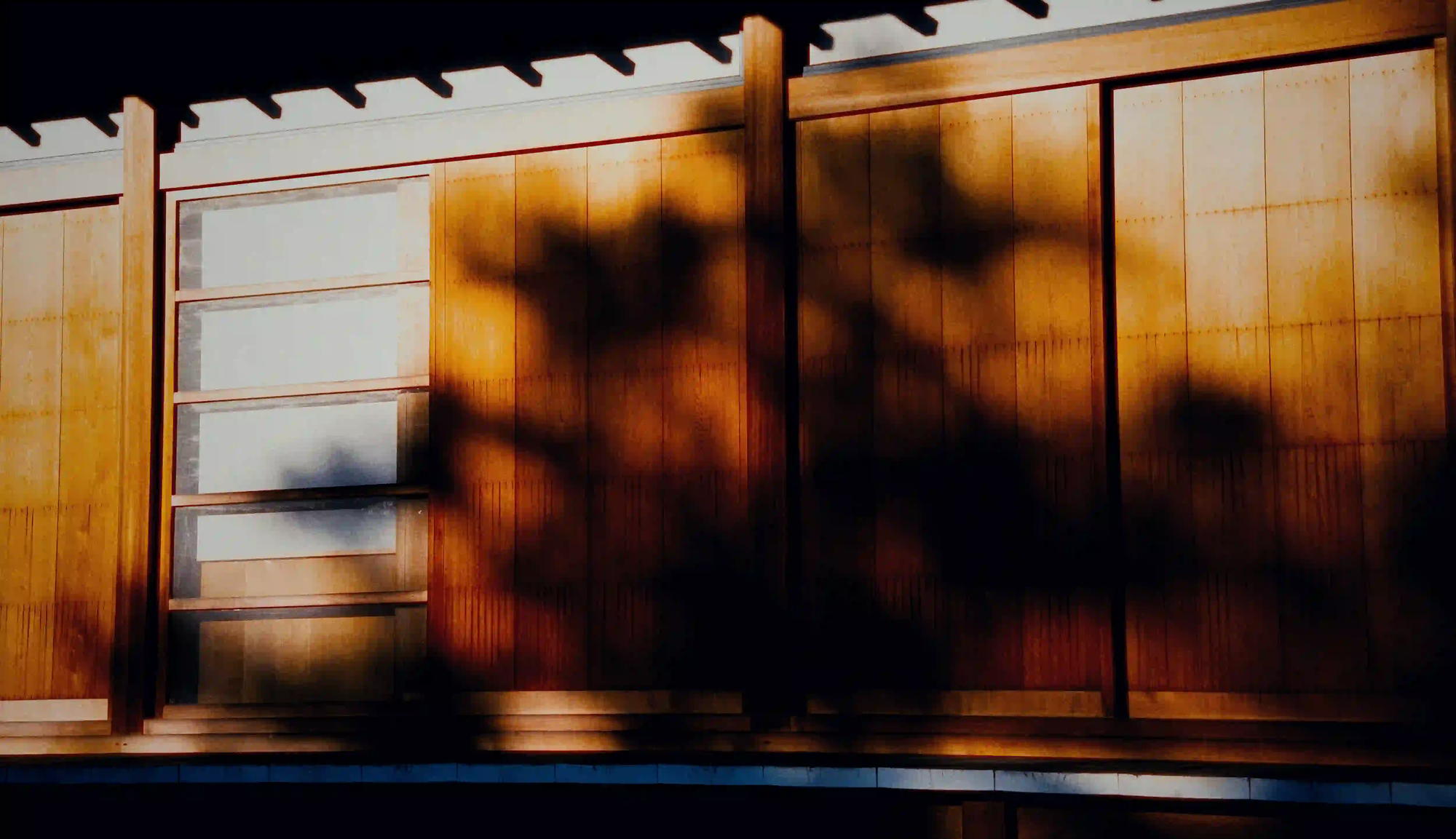 Deep foliage shadows cast over traditional Japanese wooden architecture, symbolizing the passage of time.