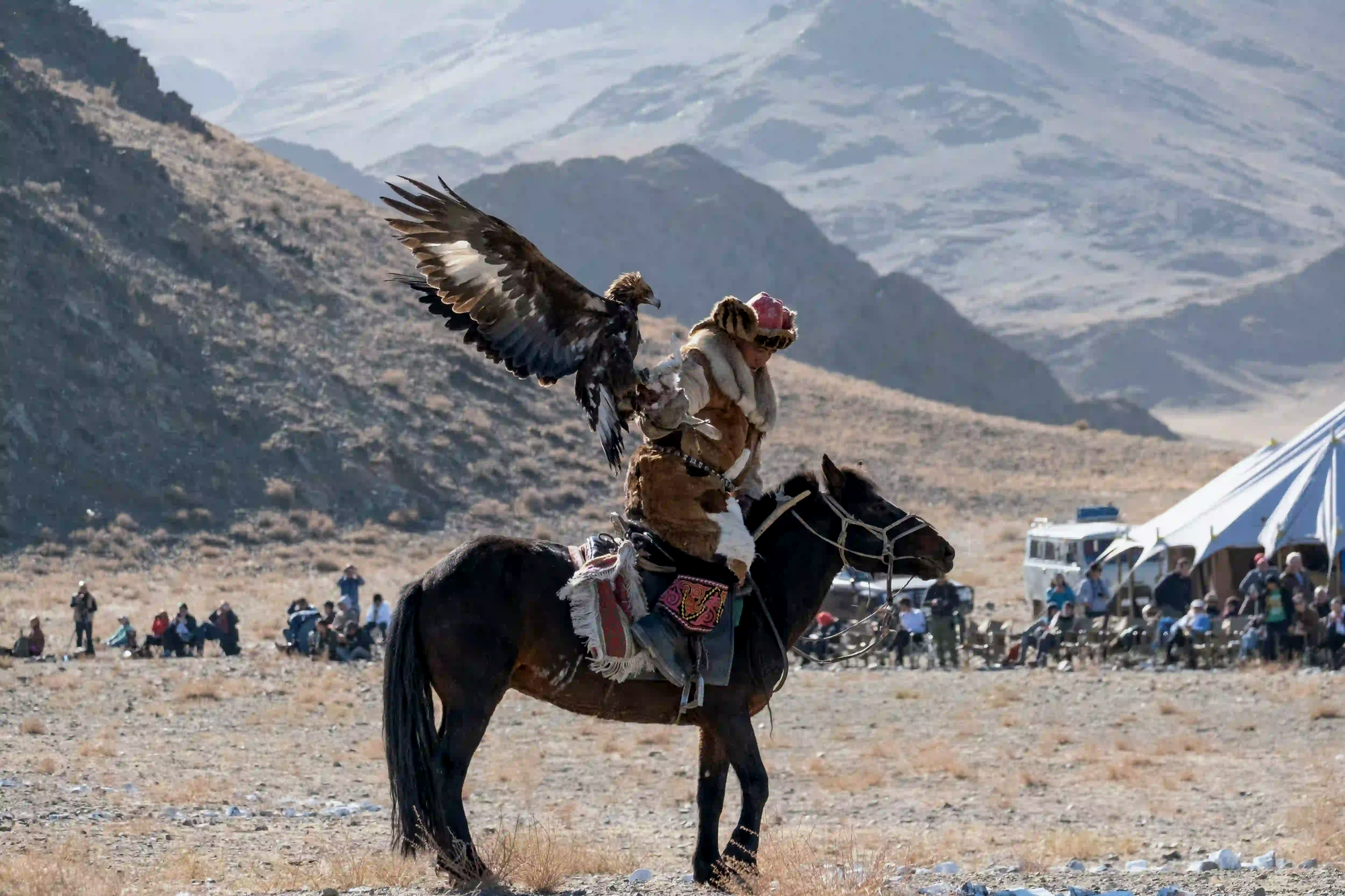 A traditional Kazakh eagle hunter on horseback catching a golden eagle, while a crowd of tourists and modern vehicles watch in the background.