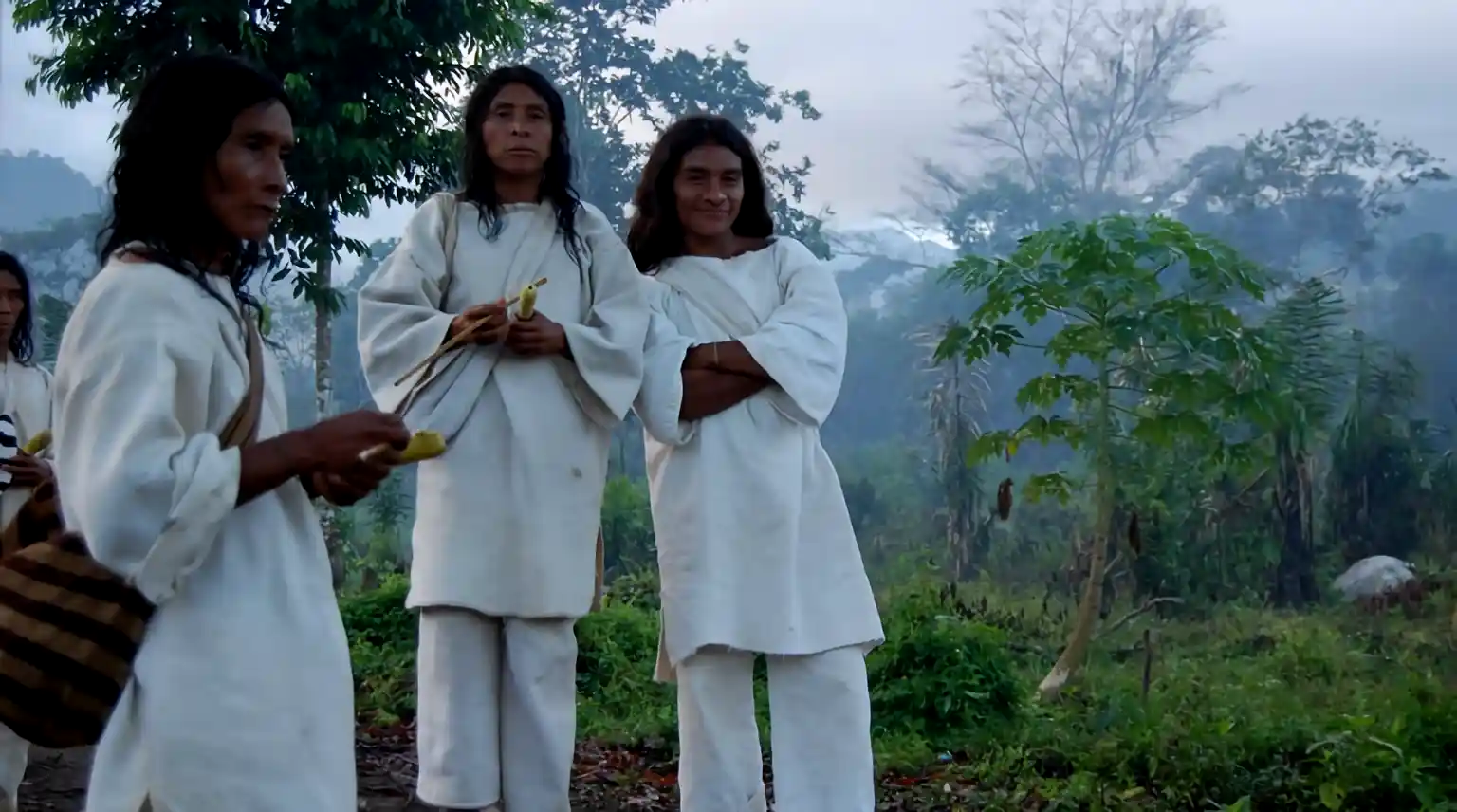 A group of Kogi men wearing traditional white garments standing together in the lush, misty mountains of the Sierra Nevada de Santa Marta.