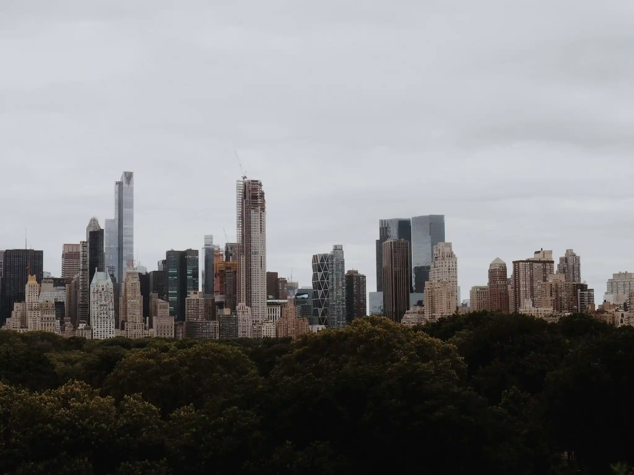 A moody, desaturated view of the New York City skyline rising behind a dense, dark green urban forest canopy under an overcast sky.