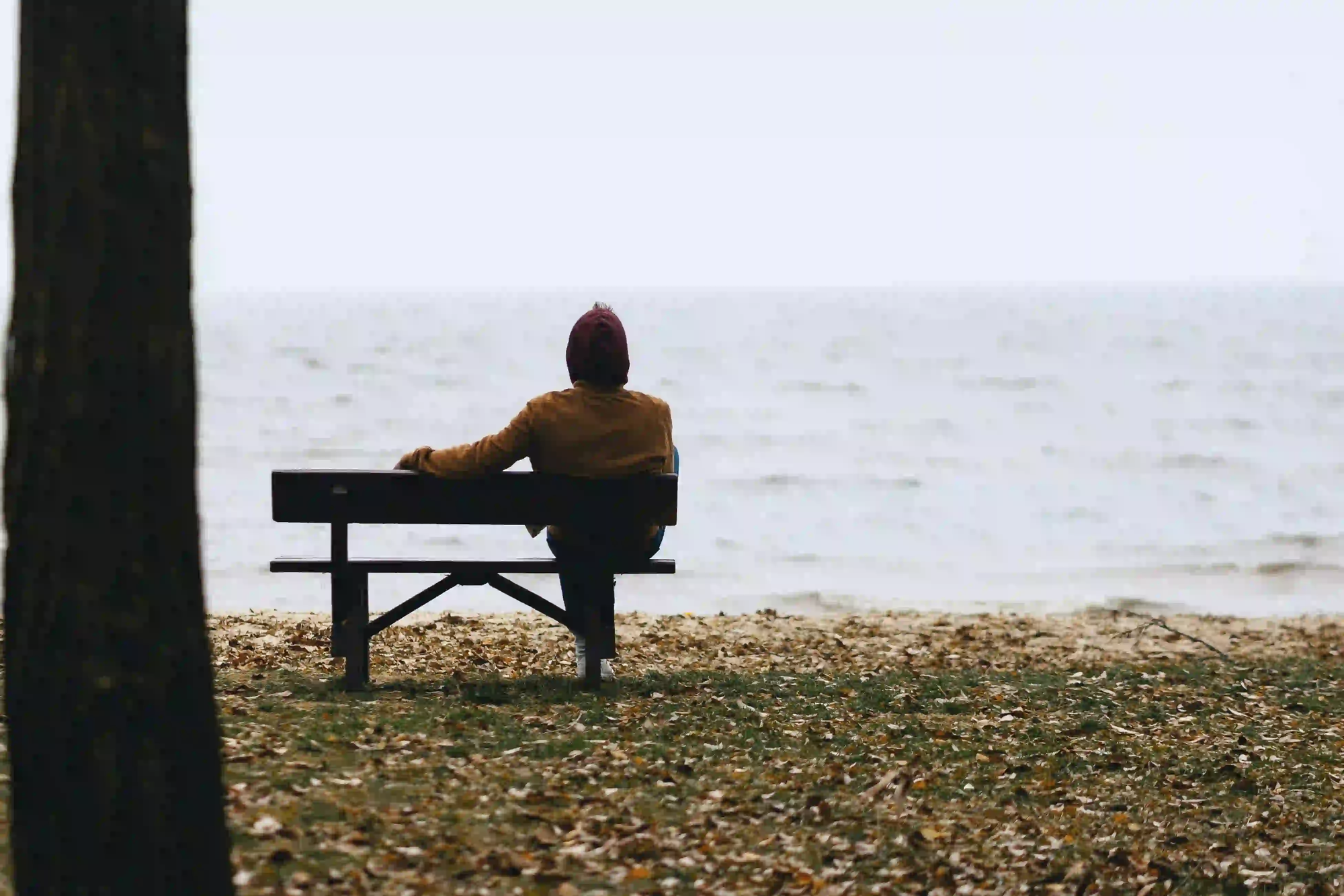 A person sitting peacefully on a wooden bench by the water, surrounded by autumn leaves, symbolizing the right to rest in public spaces.