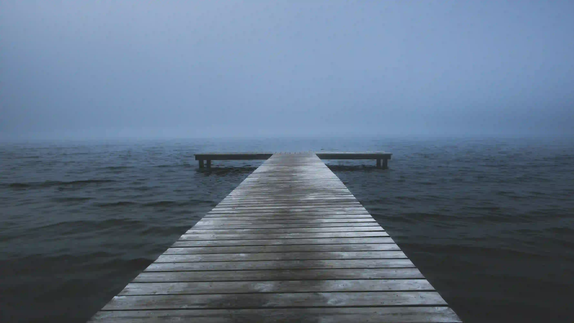 A moody, empty wooden pier extending into thick fog, representing the fading memory of past ecological abundance.