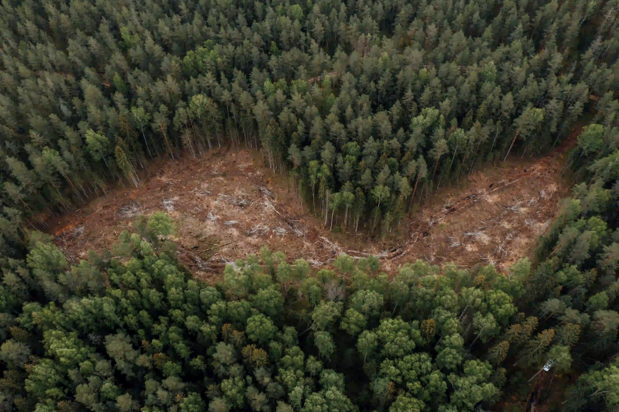 An aerial view of a dense green forest with a massive, barren scar of clear-cut deforestation winding through its center.