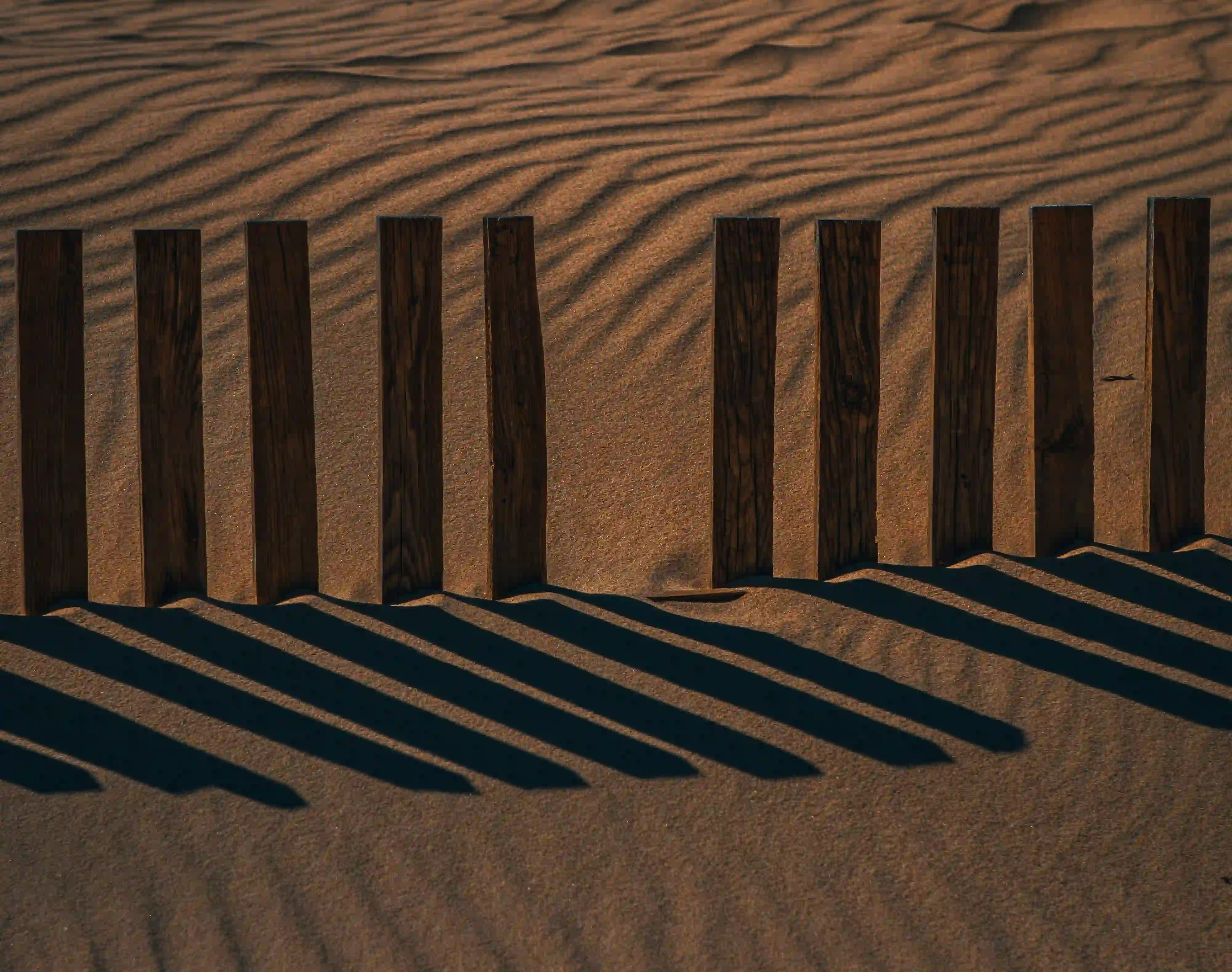 A wooden fence casting sharp geometric shadows on rippled sand, symbolizing the artificial boundaries of human-centric heritage.