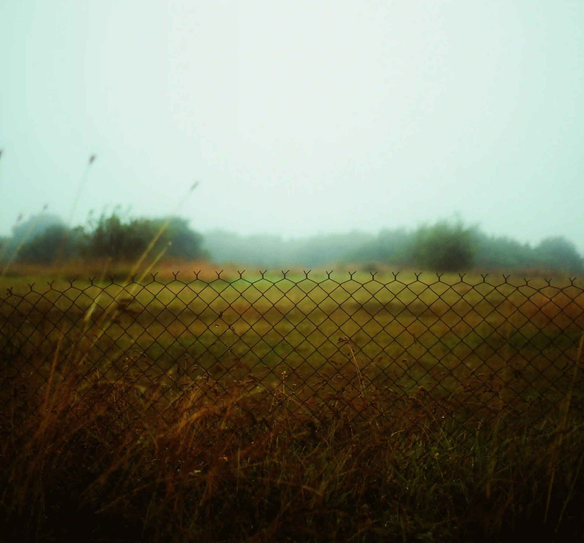 A vintage-toned, soft-focus view of a chainlink fence separating the viewer from a misty, out-of-reach natural field.