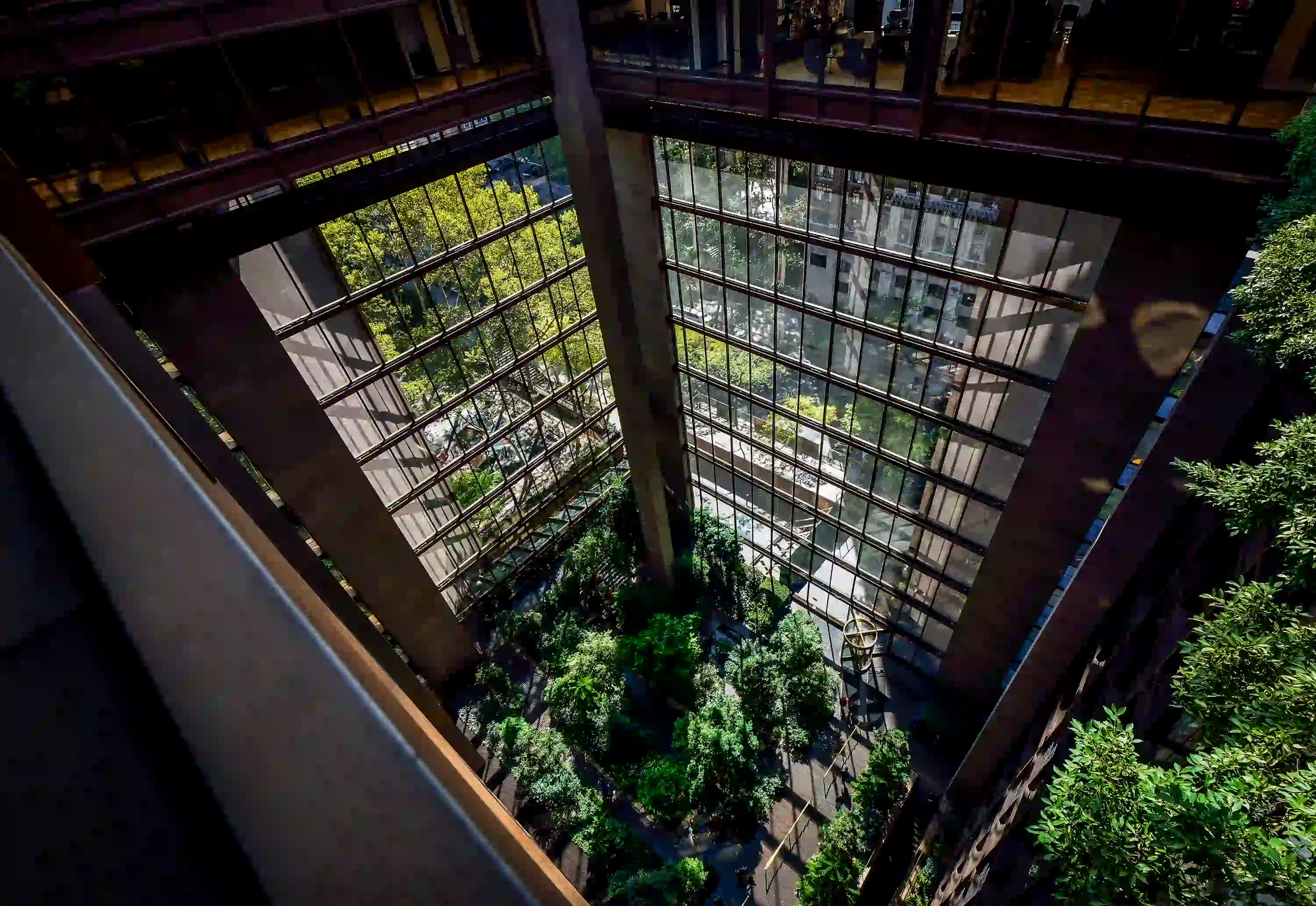 Looking down into the lush subtropical atrium garden of the Ford Foundation Building, surrounded by massive glass walls and Cor-ten steel framing.