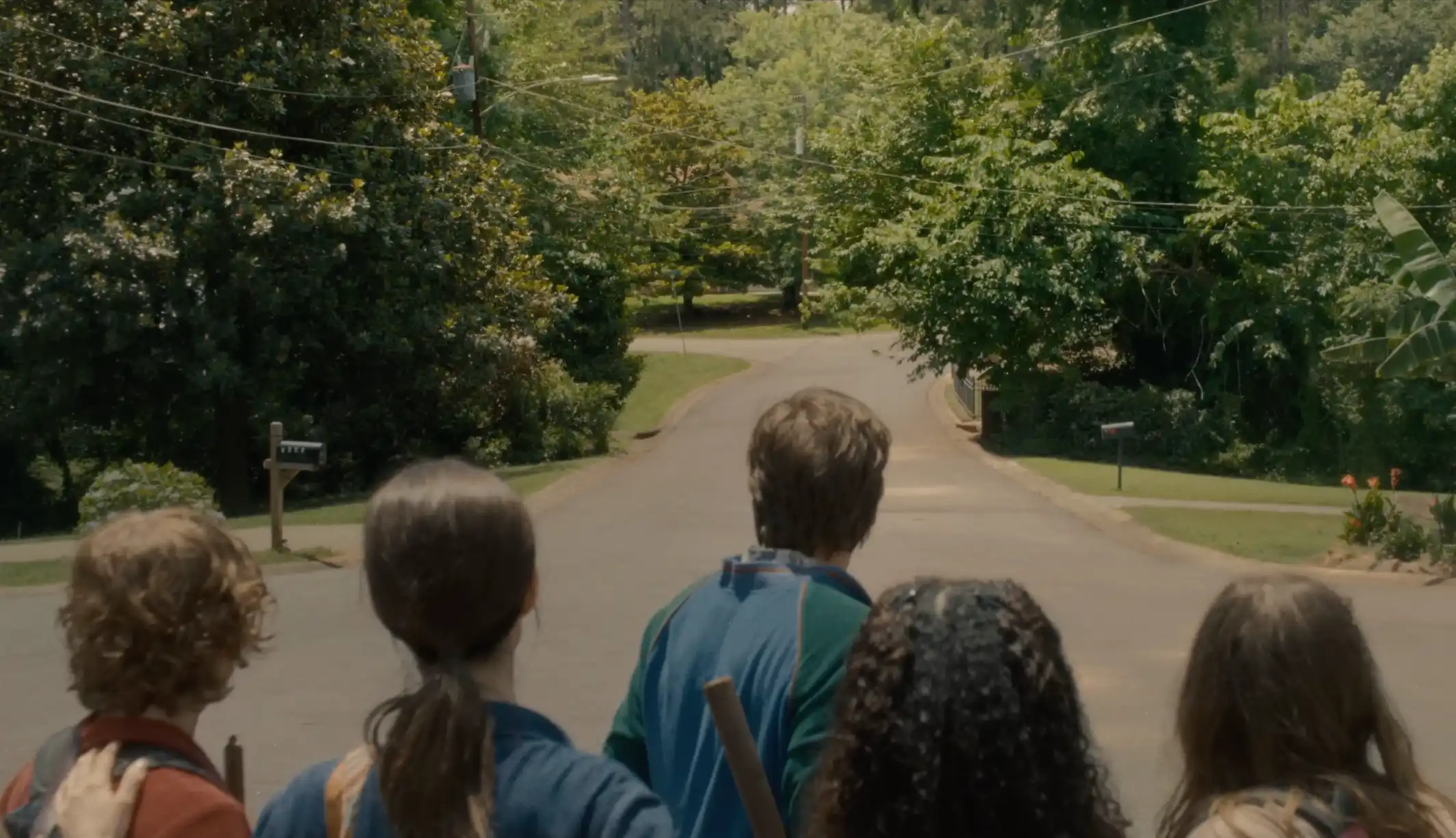A group of modern humans, seen from behind, standing at the edge of an asphalt road looking into a dense, encroaching forest.