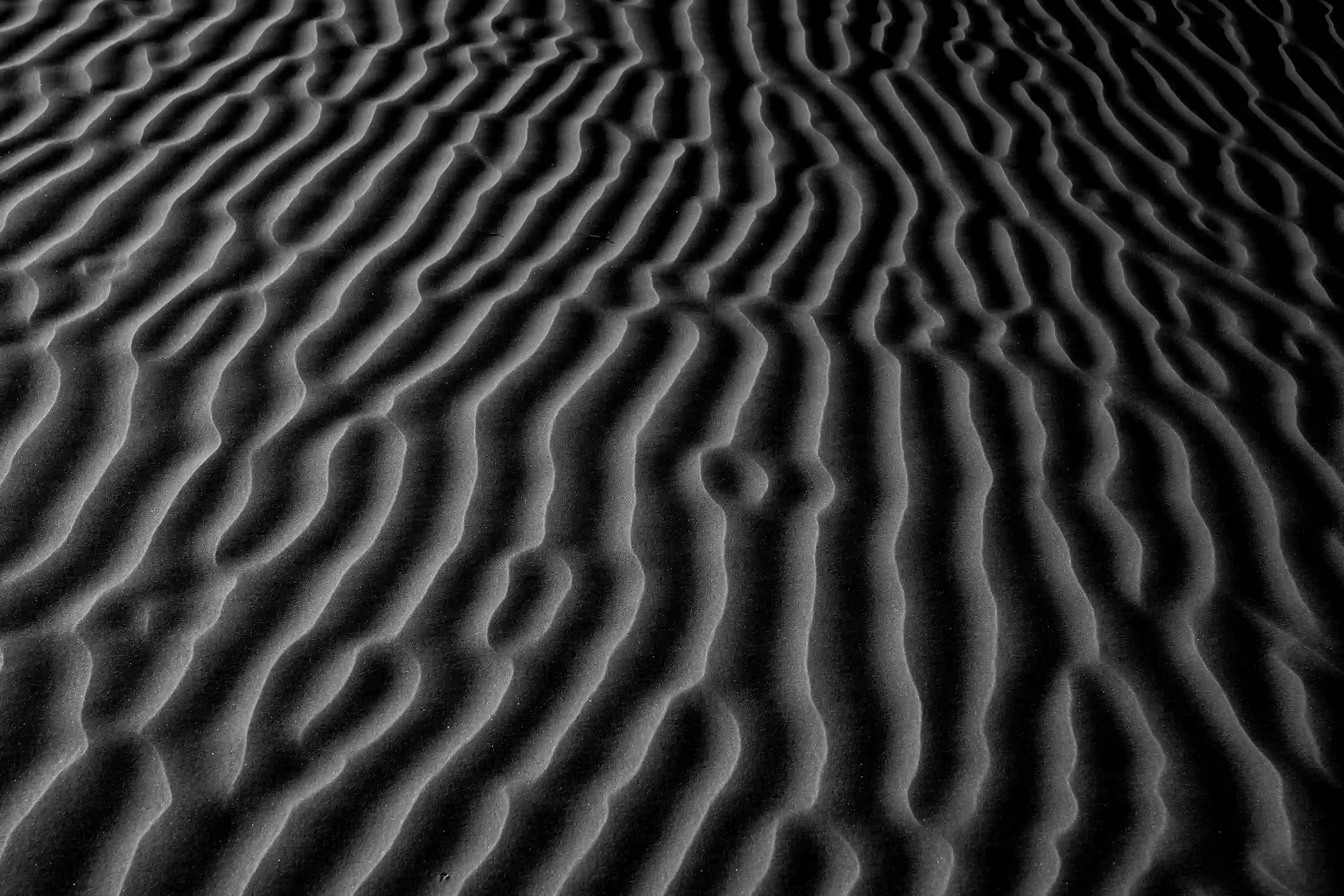 Close-up of dark, undulating sand ripples casting deep shadows, visually resembling the frequencies of a soundwave.