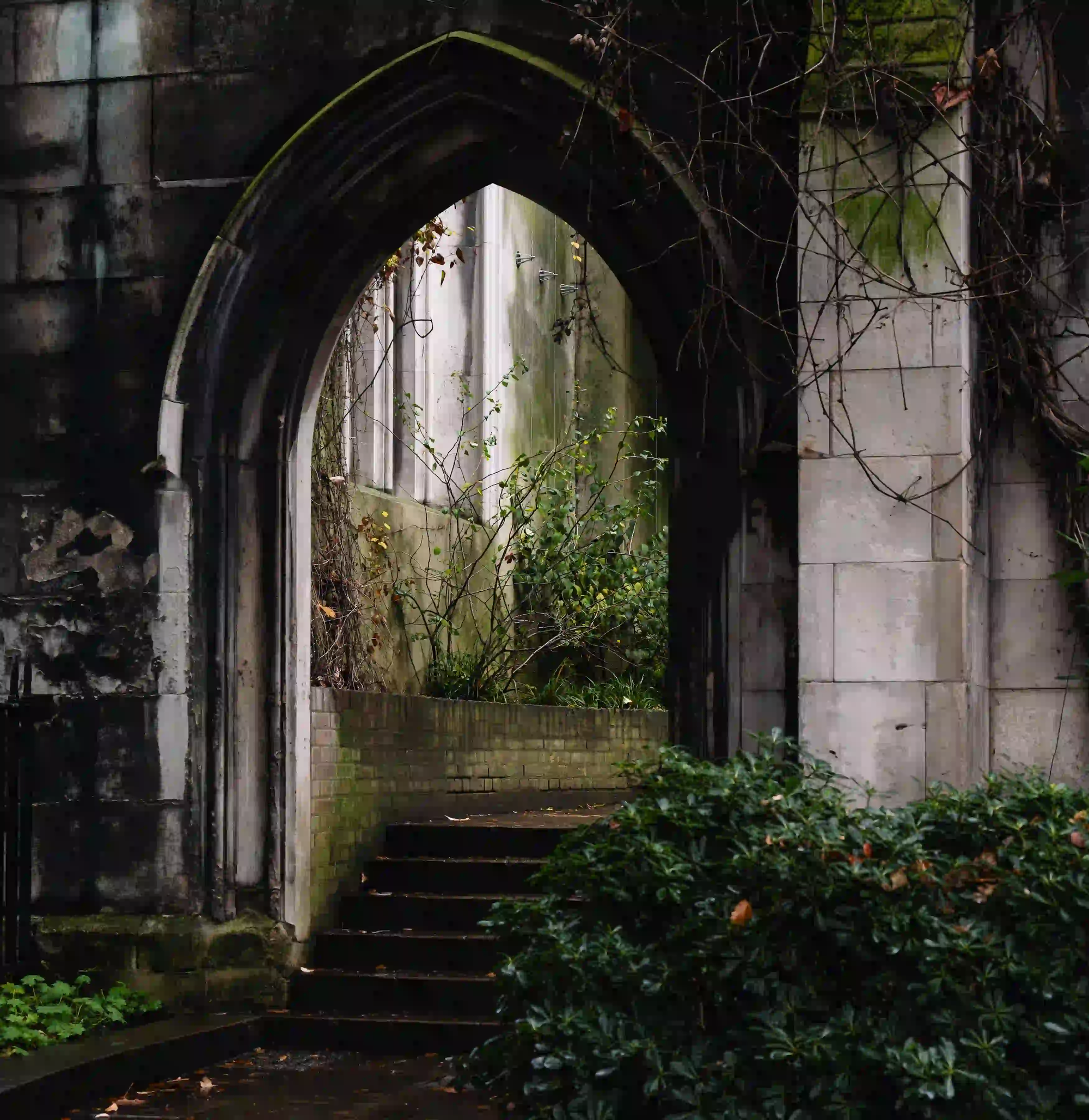 A dark Gothic stone archway partially covered in green vines and moss, showing nature reclaiming the historical ruins of St. Dunstan-in-the-East in London.