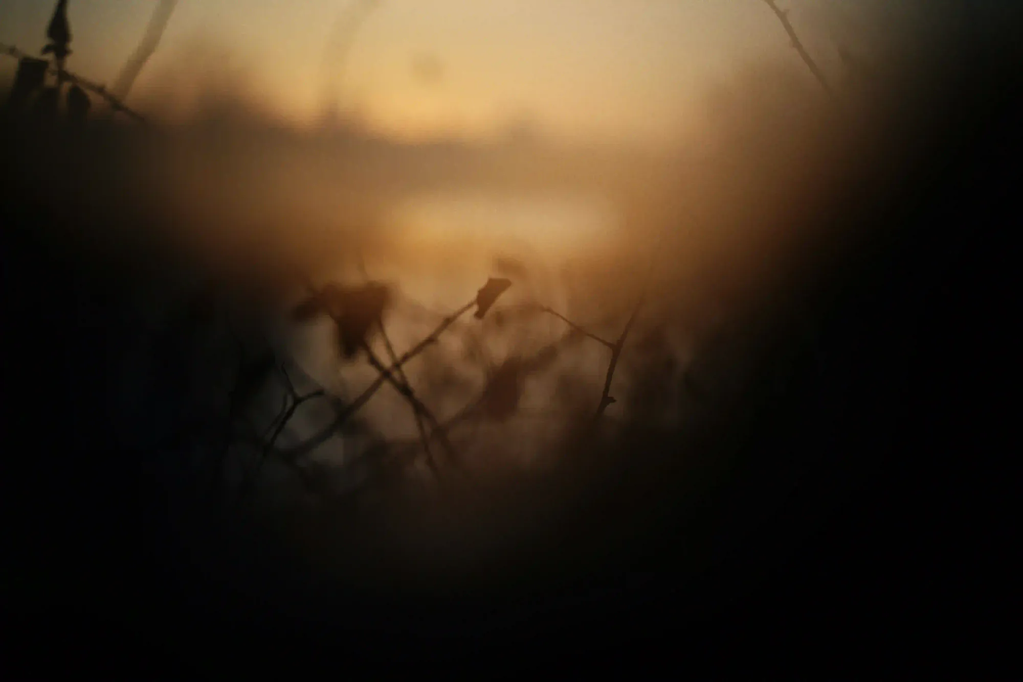 An abstract, heavily blurred view through dark shadows focusing on a silhouetted twig, representing sensory isolation.