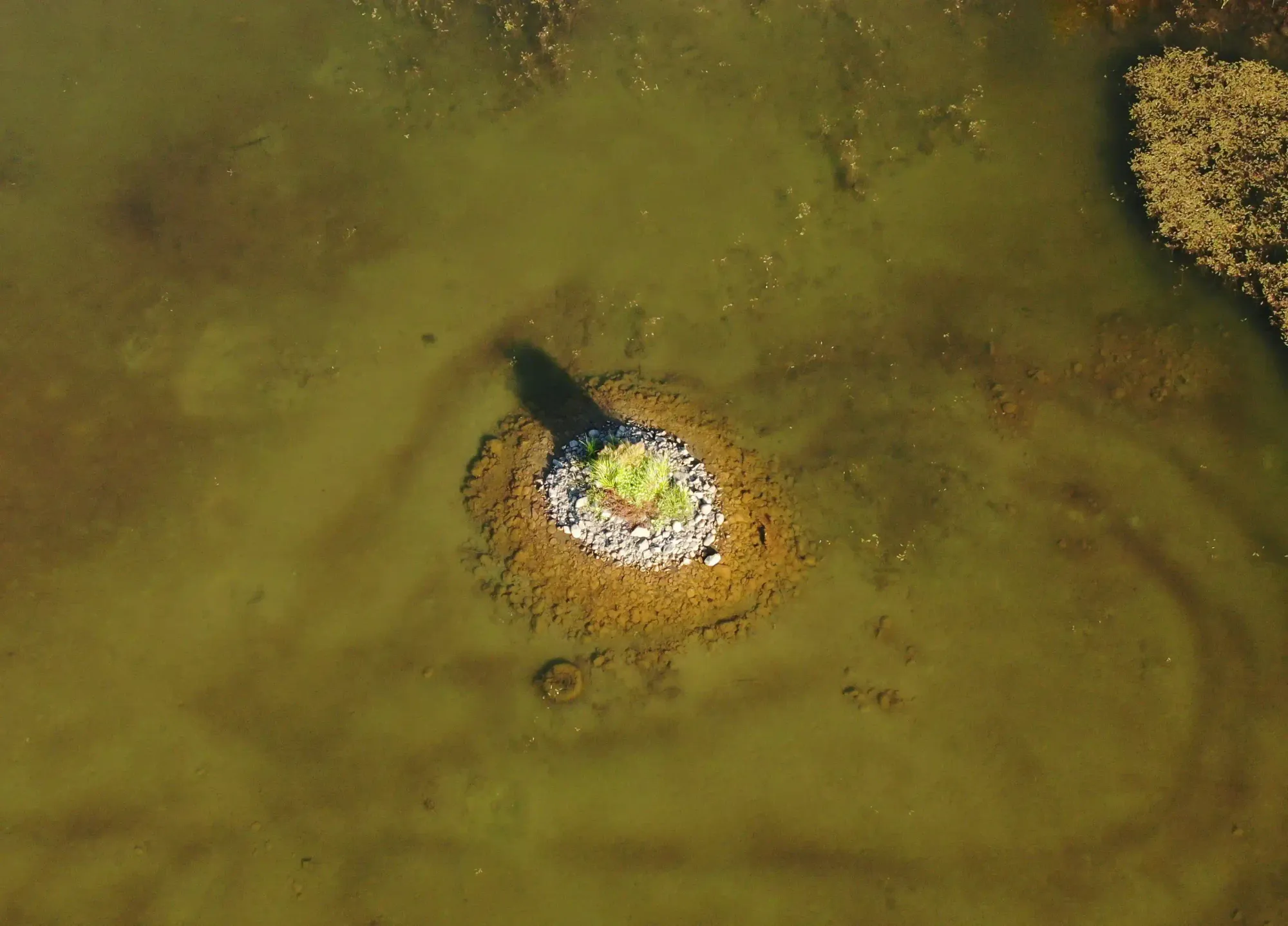 Aerial view of a small patch of land surrounded by murky, polluted green water representing ecological damage.