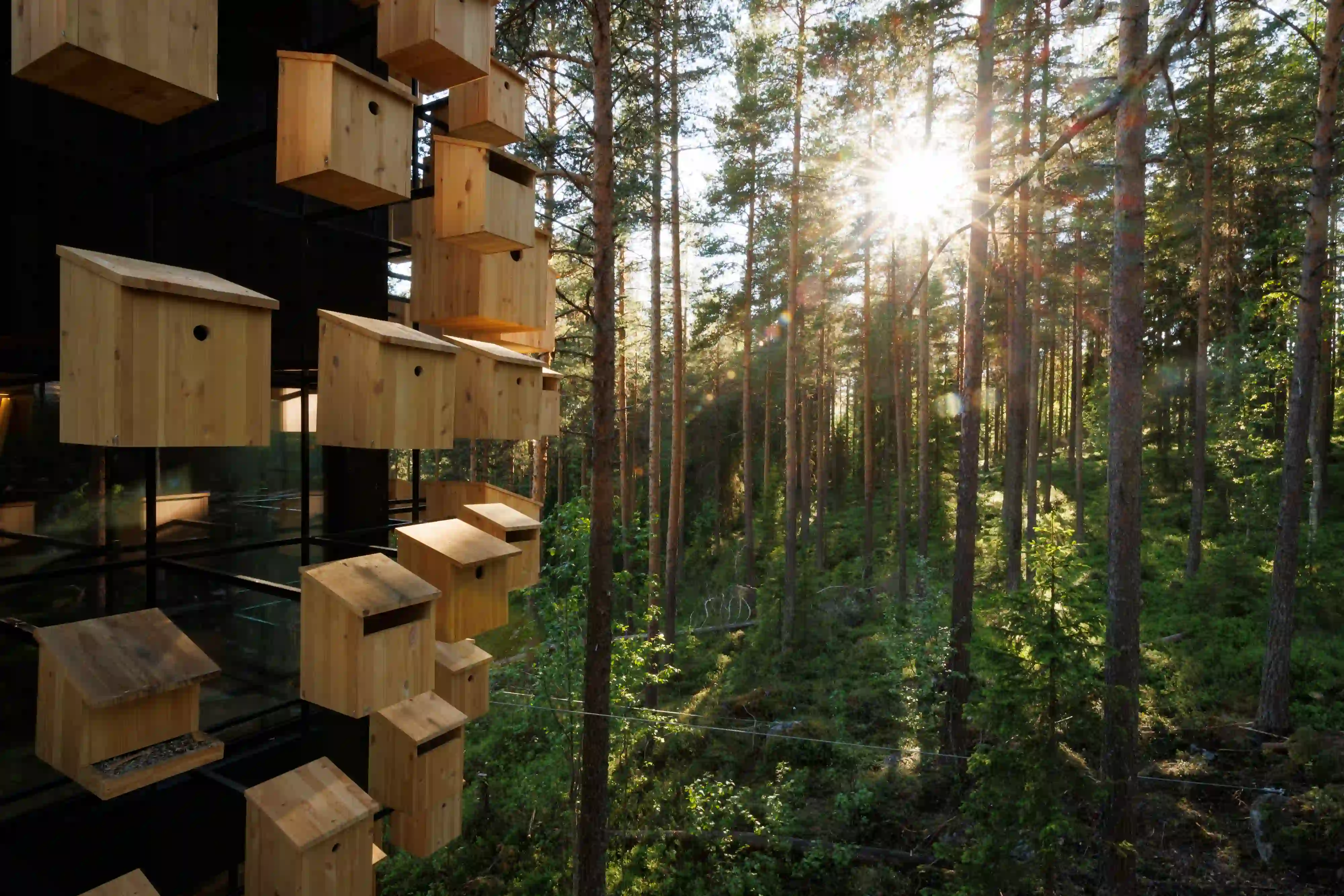Close up detail of the wooden birdhouses attached to the black structural frame of the Biosphere treehouse.
