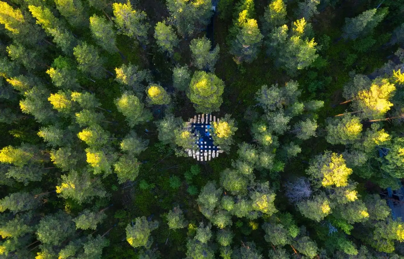 Top down aerial drone view of the Biosphere treehouse blending into the green pine canopies of the Swedish taiga.