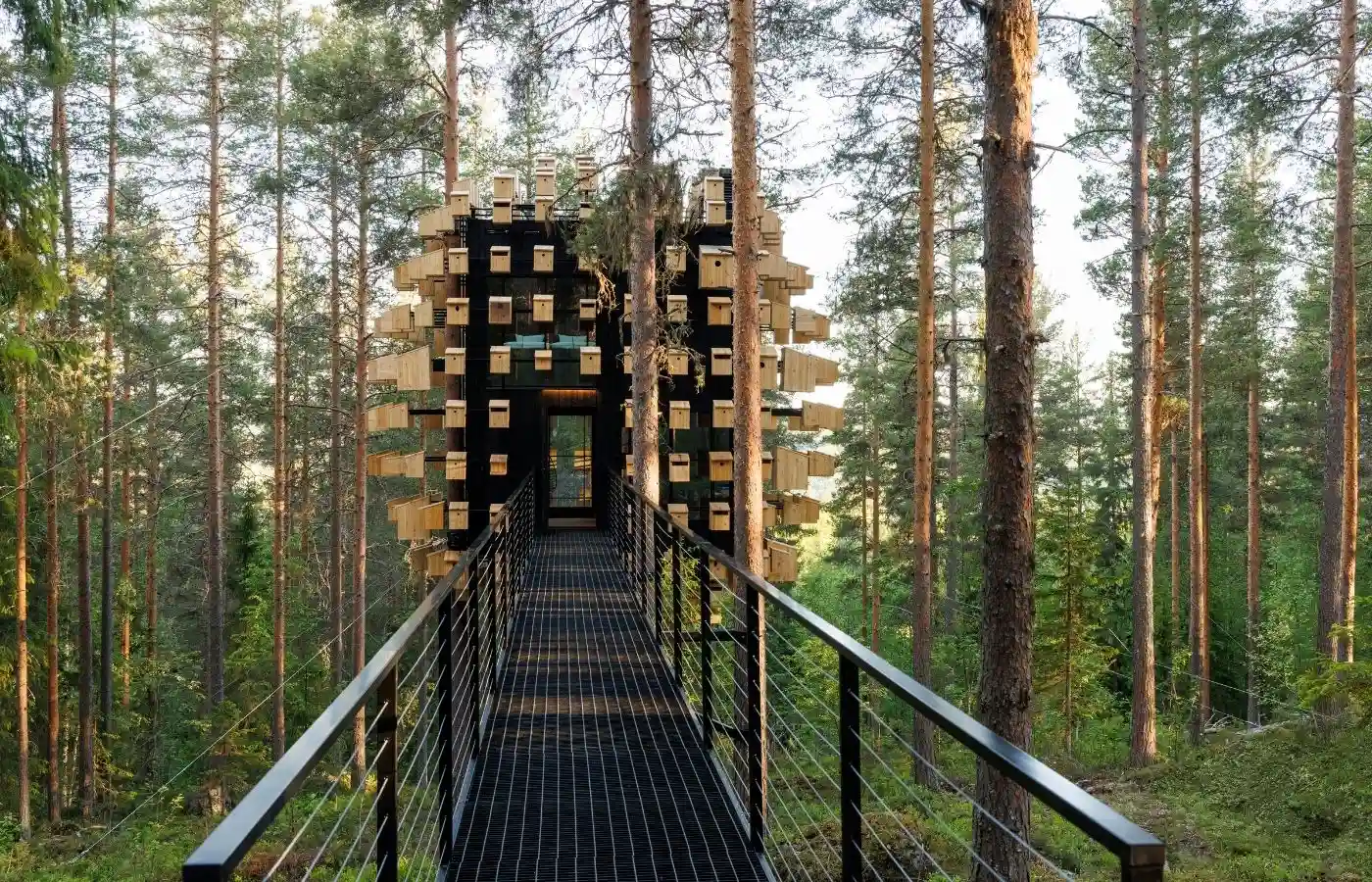 A dark metal suspension bridge leading through the trees into the entrance of the Biosphere treehouse.