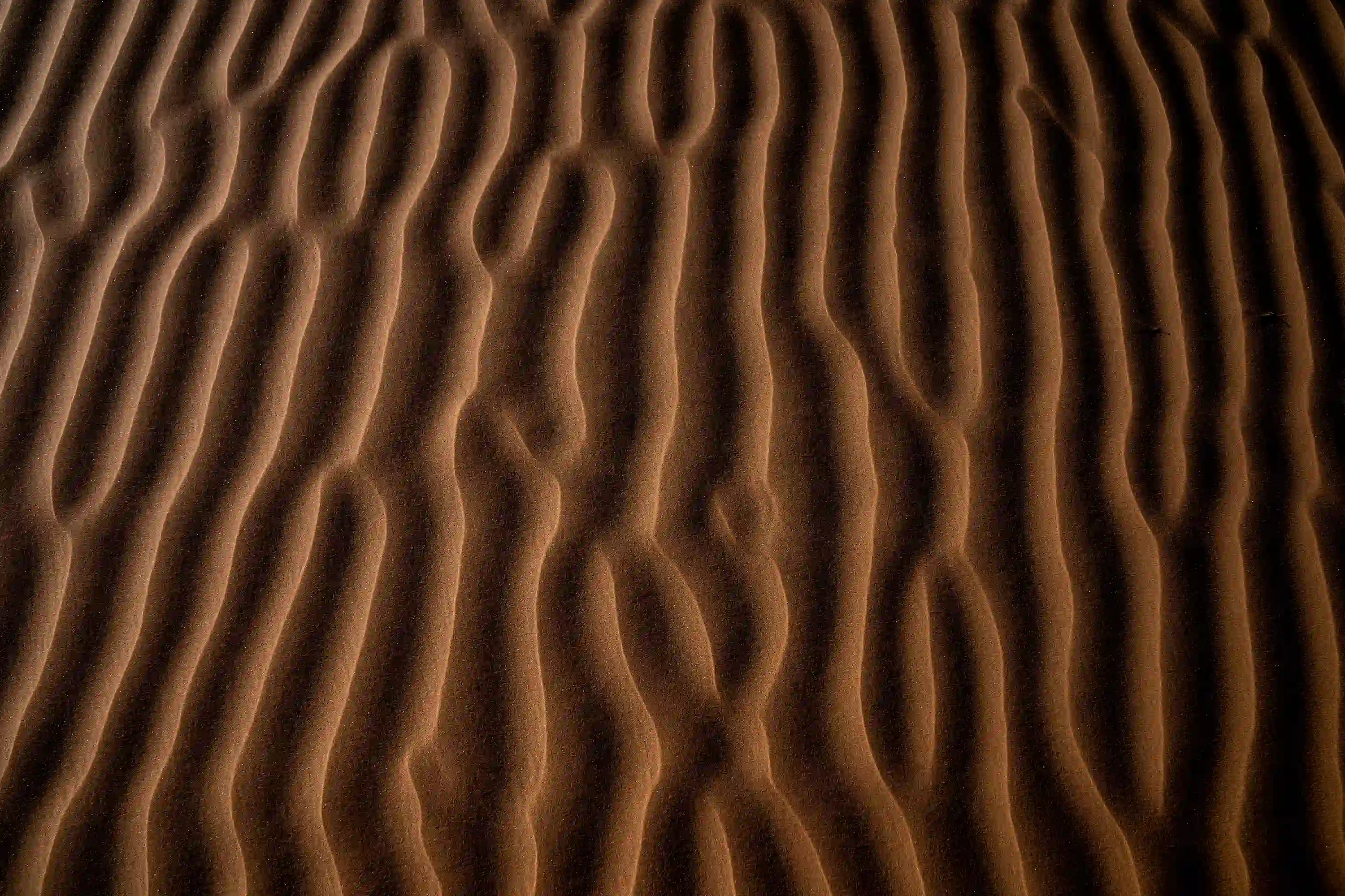 Close up macro texture of smooth windblown desert sand ripples in dark lighting.