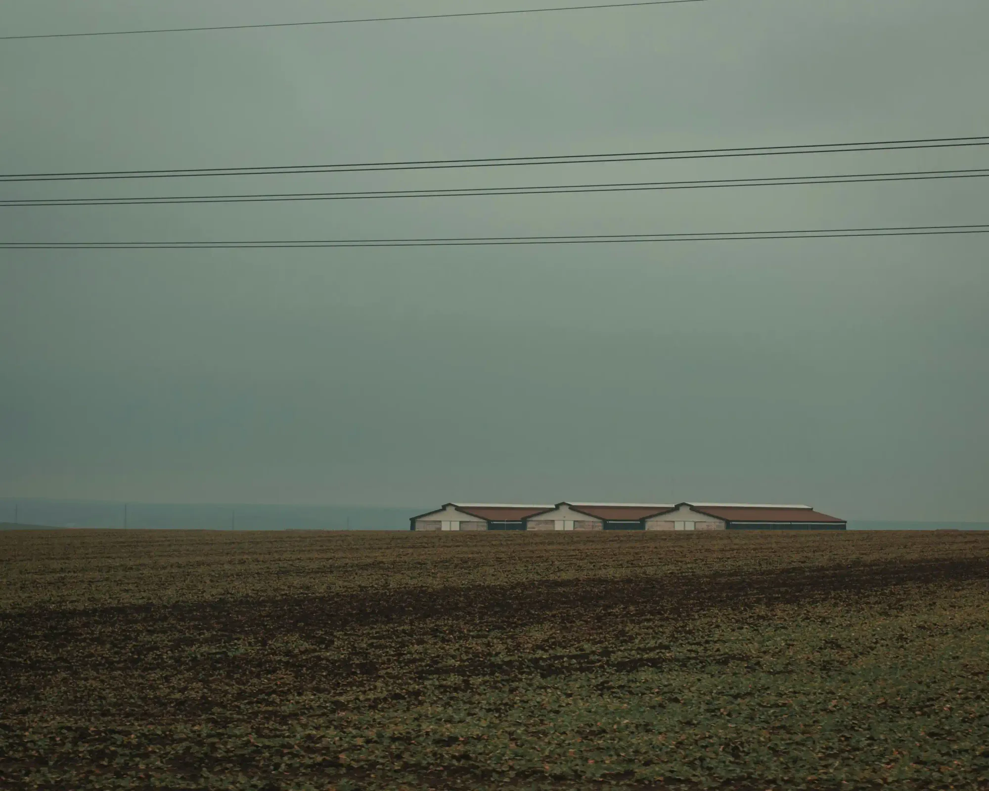 A bleak, overcast landscape featuring an empty brown field and a long industrial farm building in the distance.