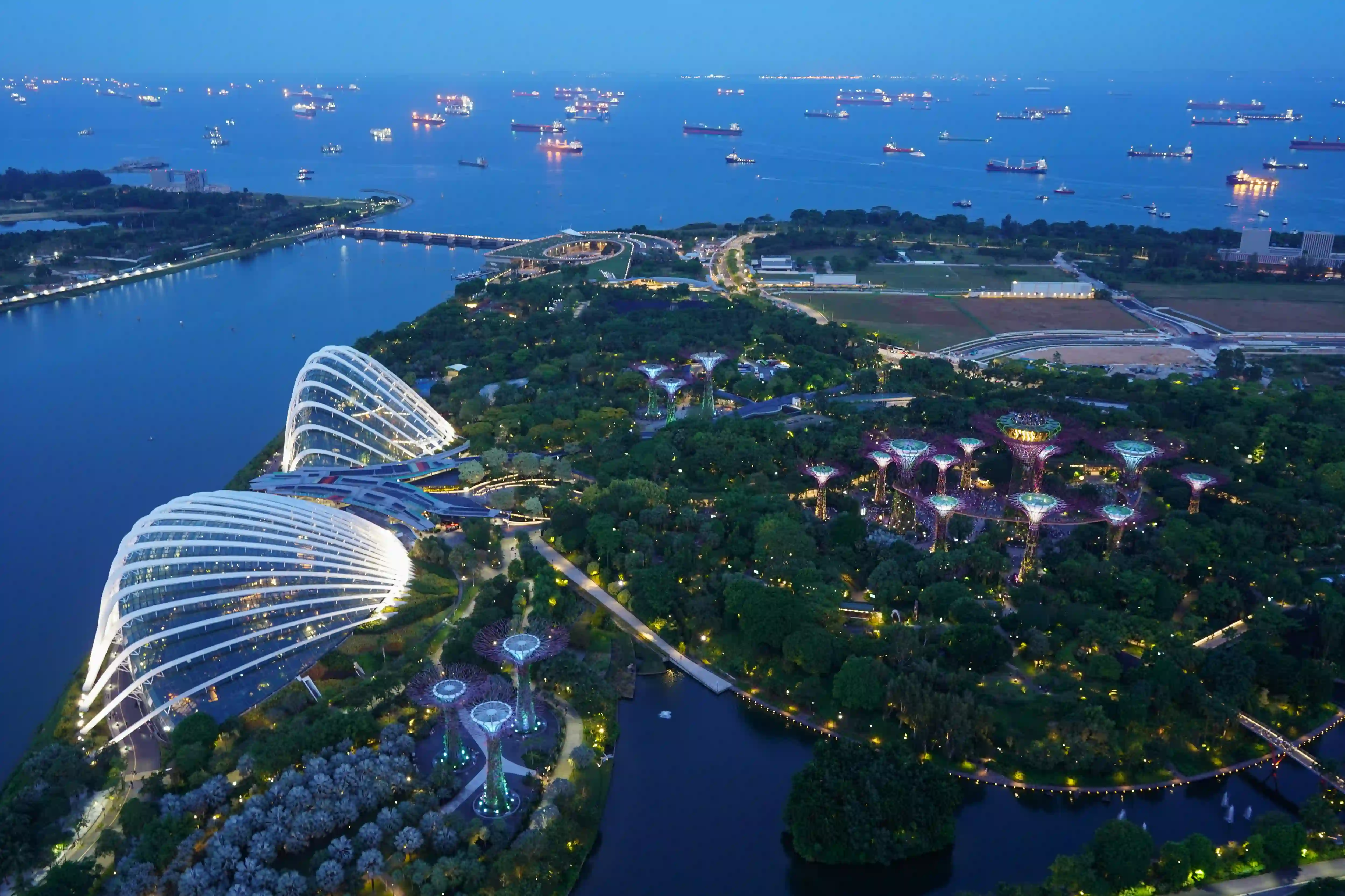 Aerial twilight view of Gardens by the Bay in Singapore, showcasing illuminated biomimetic Supertrees against a backdrop of industrial cargo ships in the ocean.