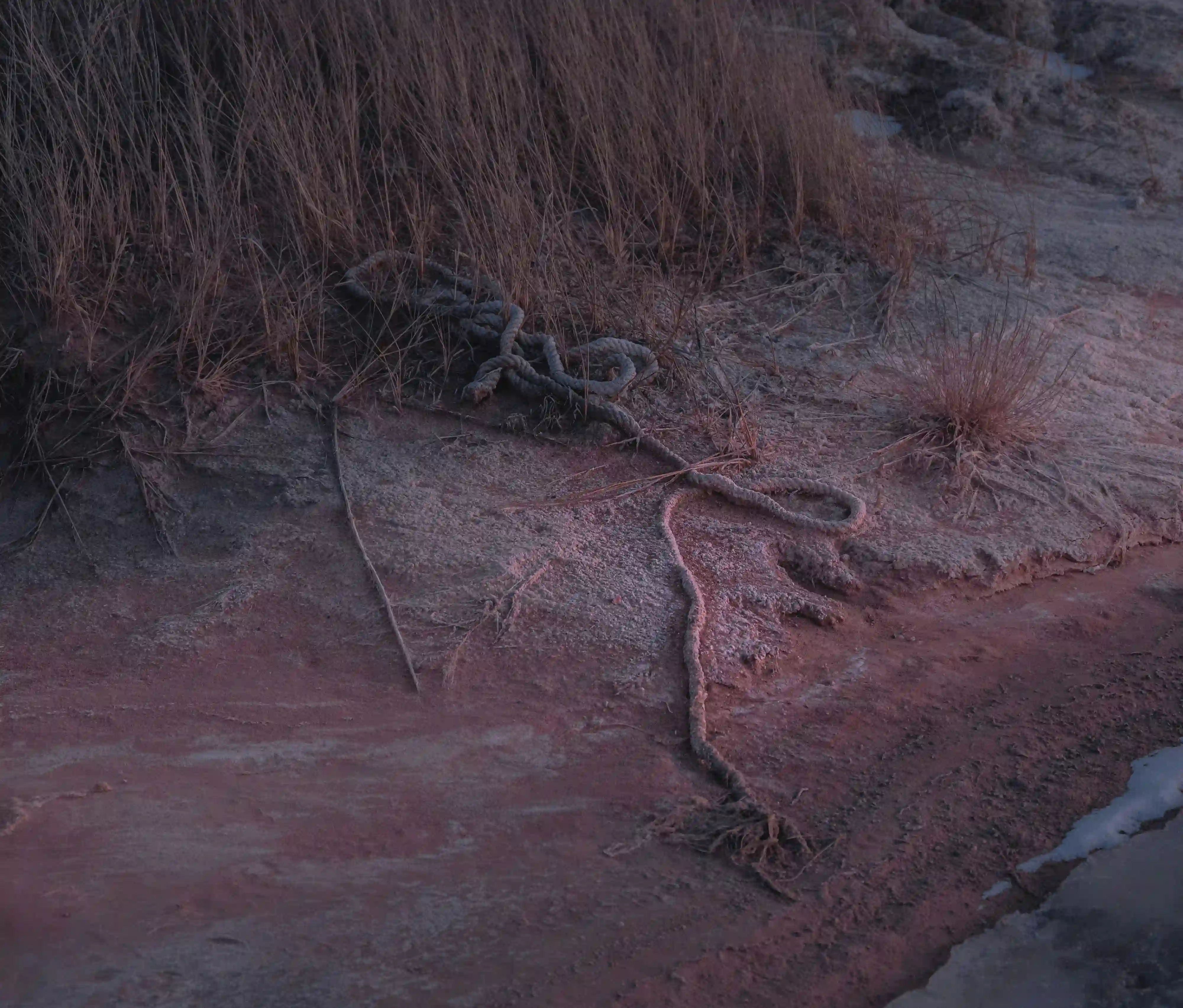 A tangled, weathered rope and synthetic debris half-buried in desolate sand at the water's edge.
