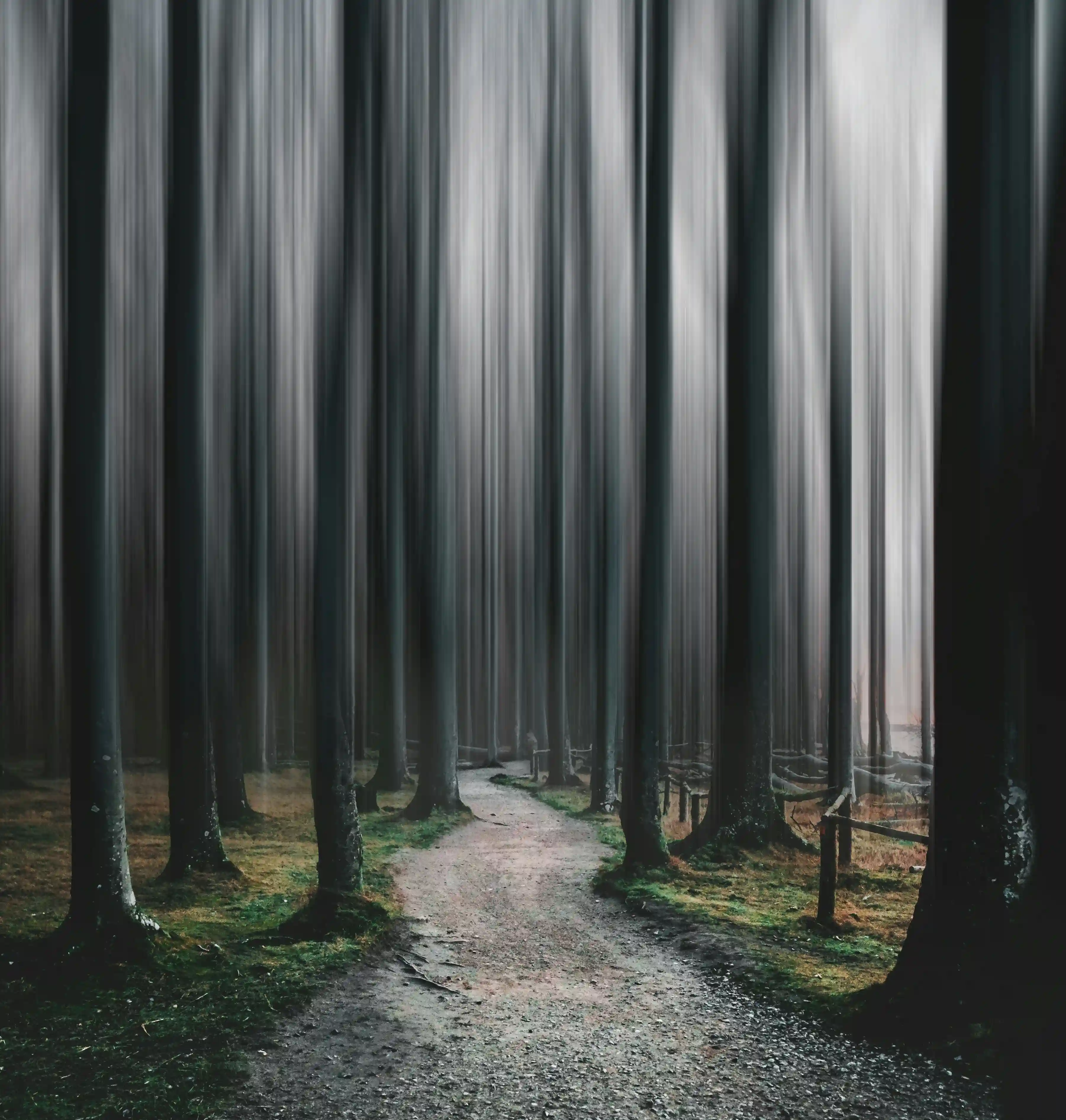 A dark, moody forest path heavily distorted by vertical motion blur, creating a disorienting landscape.