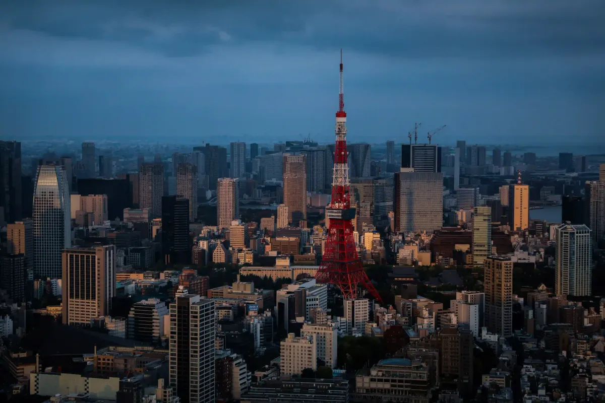 A dense Tokyo city skyline featuring the Tokyo Tower, highlighting the stark contrast between buildings catching the golden sunlight and those cast in deep urban shadow.