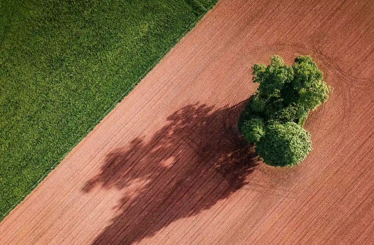 Aerial view of a strictly partitioned agricultural field with plowed red earth and an isolated tree cluster, representing maximum capacity utilization.