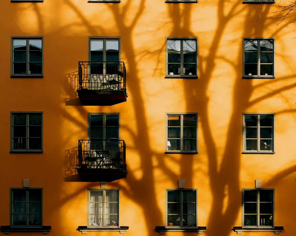 Harsh tree shadows cast by intense sunlight on the yellow facade of a historic European building, illustrating the thermal mass effect.