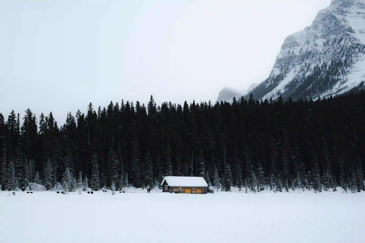 A solitary wooden cabin sits in a vast, snow-covered landscape, dwarfed by a dense, dark evergreen forest and a looming mountain peak under a moody sky.