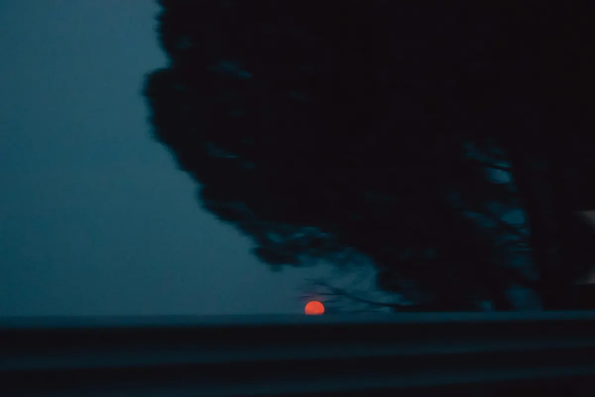 Abstract, motion-blurred silhouette of a tree against a dark twilight sky with a glowing red moon, representing the ethereal and memory-based nature of Aboriginal Songlines.