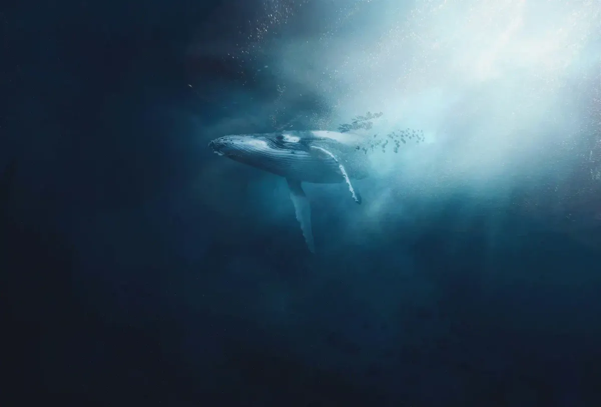 A cinematic shot of a whale descending into the deep, dark ocean abyss.