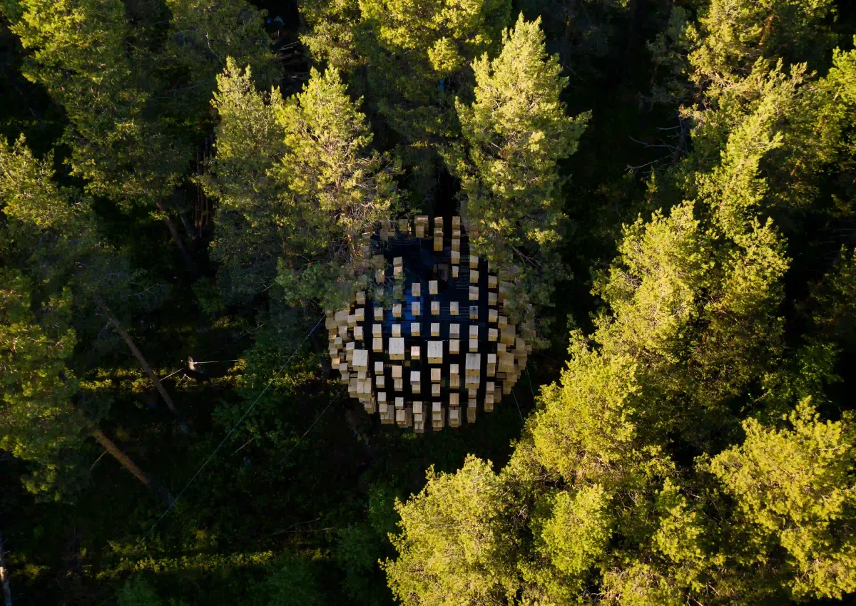 Aerial view of the Biosphere treehouse bathed in golden hour light, nestled seamlessly among the pine trees of the Swedish taiga.