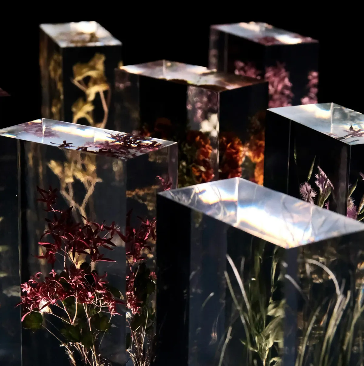 Various organic plants and flowers frozen inside clear geometric resin blocks against a dark background.