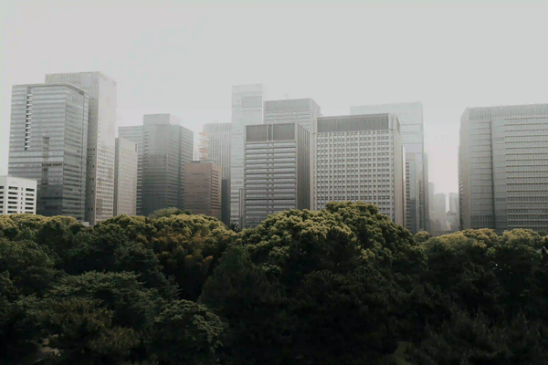 A hazy city skyline where tall, imposing grey buildings rise like a fortress wall behind a dense, dark green forest.