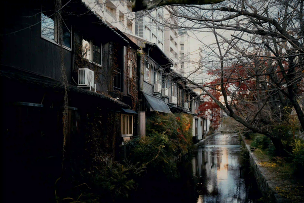 Dark, traditional Japanese wooden buildings and bare-branched trees line a quiet canal in Kyoto at dusk, with soft reflections on the water.
