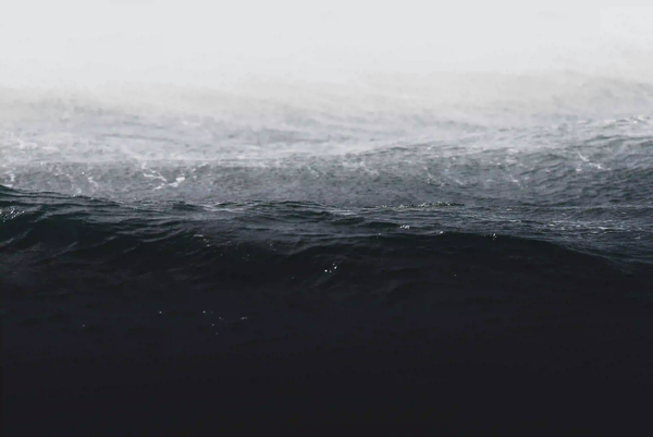 Dark, moody ocean waves fading into thick fog, symbolizing the silent ecological collapse beneath the surface.