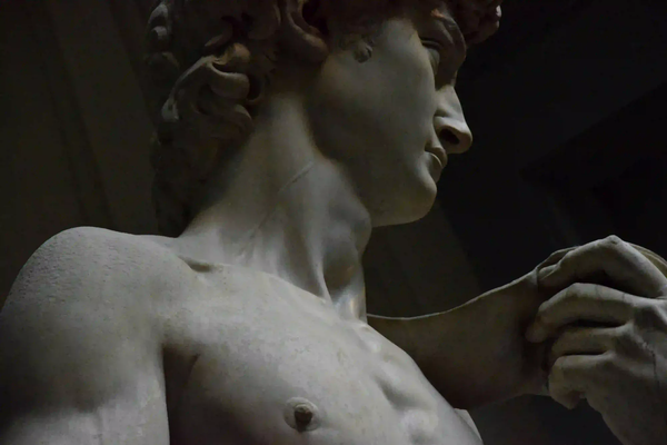 A moody, close-up profile of a classical marble statue, highlighting flawless human anatomy emerging from the shadows.