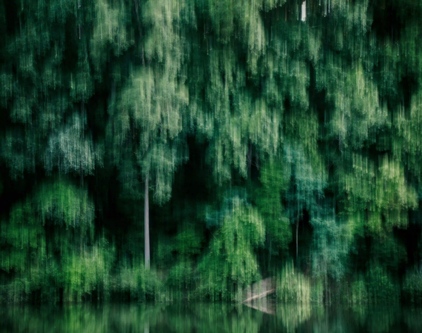 An abstract, vertical motion blur of a deep green forest, symbolizing humanity's disconnected view of nature.