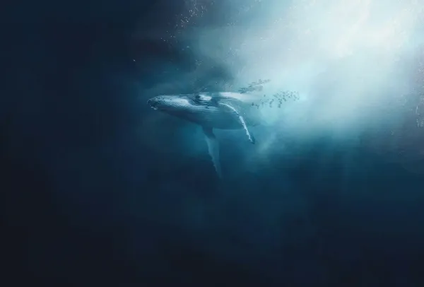 A cinematic shot of a whale descending into the deep, dark ocean abyss.