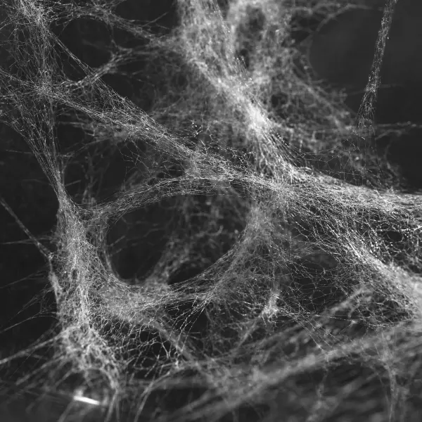 A highly chaotic, multi-layered spider web in the dark, illustrating the complex, makeshift nature of biological evolution.