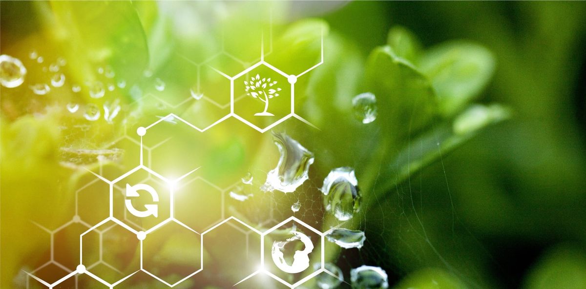 A Guide to at-Home Hydroponic Gardening