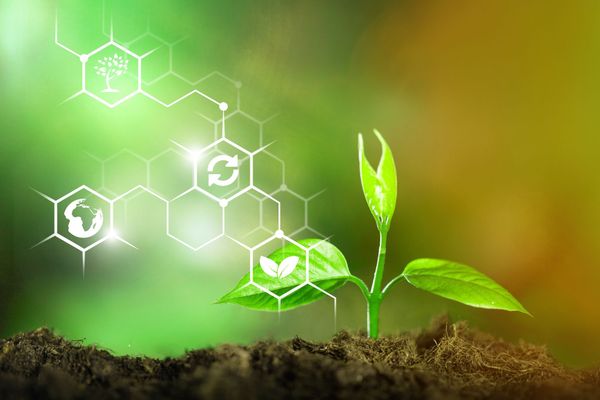 Dealing with Health Issues & the new Environmental Realities