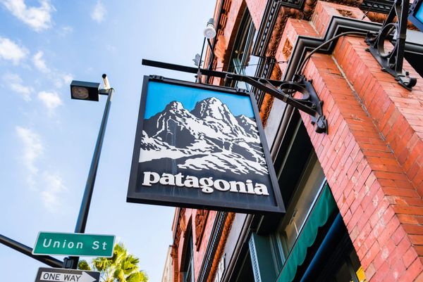 Patagonia billionaire founder gives company away to fund ongoing environmental protection