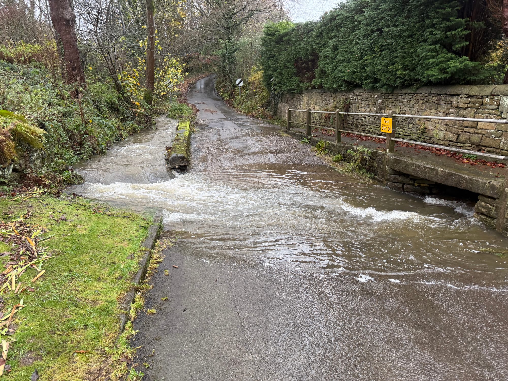 A very powerful river across the road! I took the bridge.