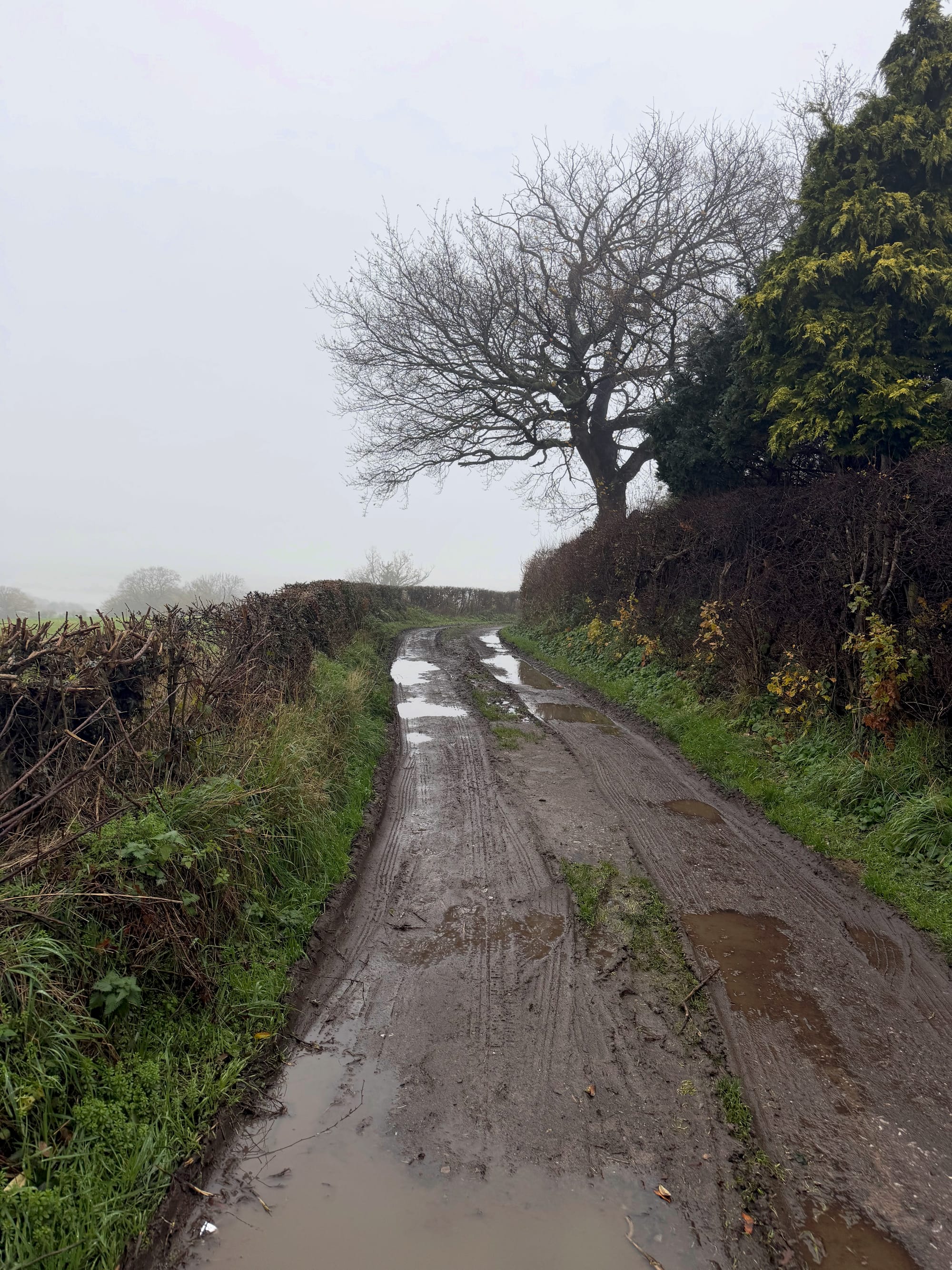 The start of a very muddy section!