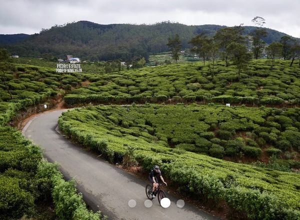 Win a Place on Ride Sri Lankan 2026 with Sigma Sports