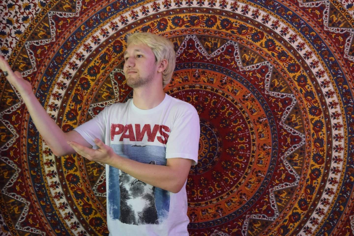 Josh GTX